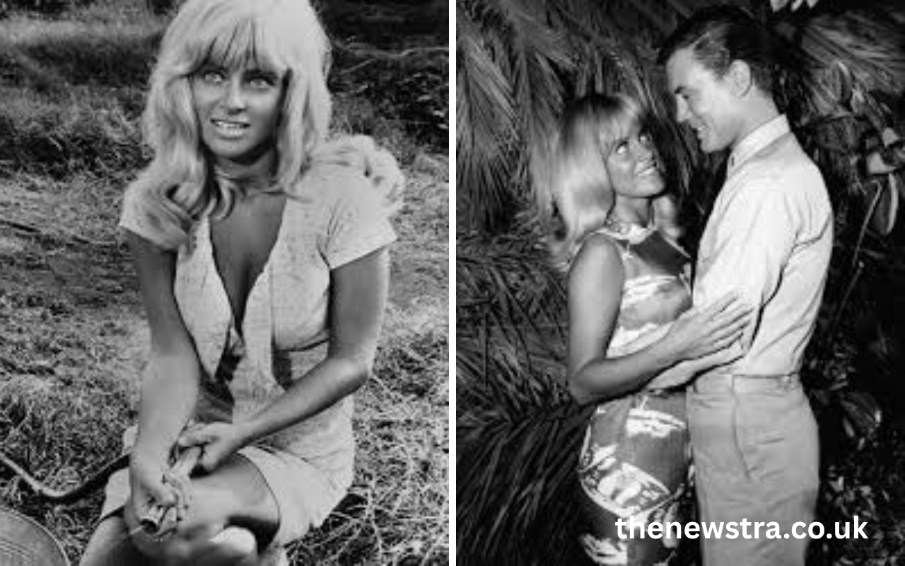 joy harmon